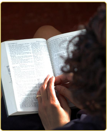 Reading Bible
